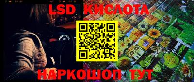 прущие грибы Волжский