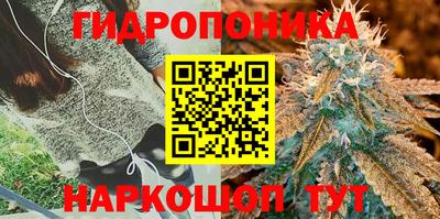 прущие грибы Волжский