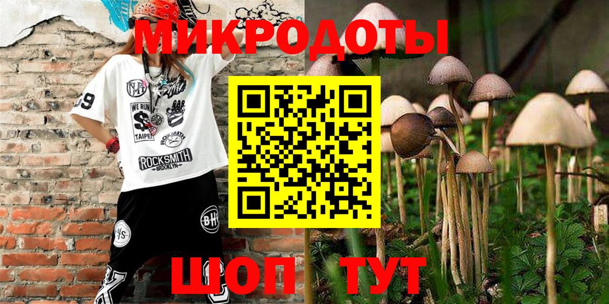 Псилоцибиновые грибы Psilocybine cubensis Нальчик