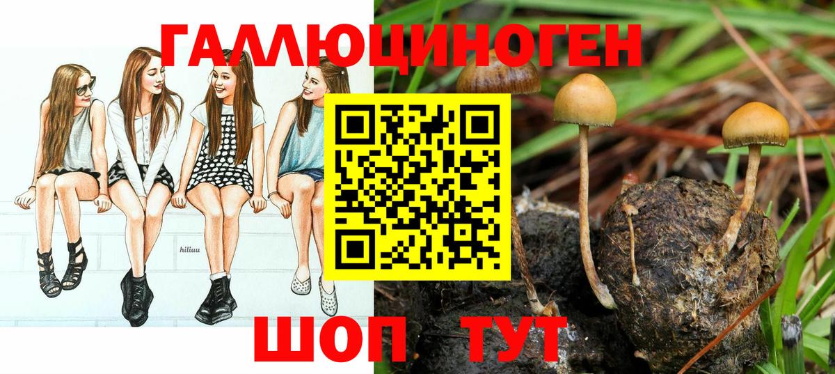 Галлюциногенные грибы MAGIC MUSHROOMS  Вход с VPN  Нальчик 